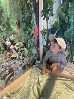 Barnehagekuben banner jungel