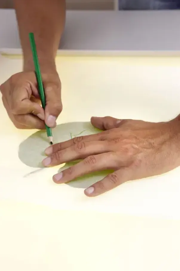 Bio lysbord inkl. lokk