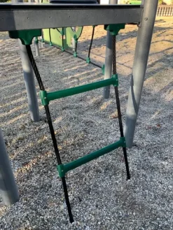 Birk sklie med taustige