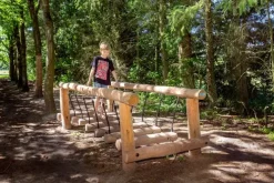 Bjelkebro i robiniatre