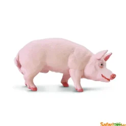 Bondegårdsdyr galte