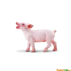 Bondegårdsdyr grisunge