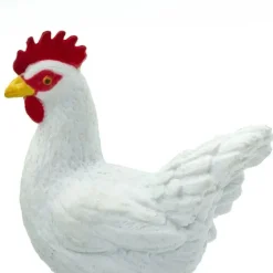 Bondegårdsdyr høne hvit