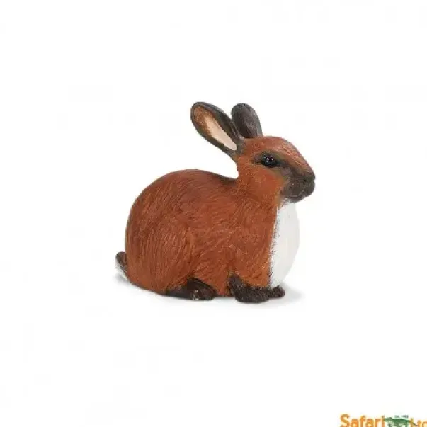 Bondegårdsdyr kanin