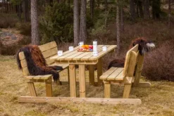 Bord/benk for voksne med rygg