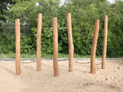 Core robinia balansegang