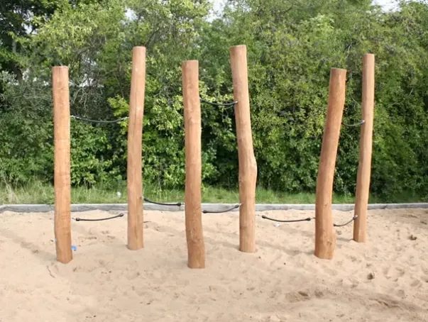 Core robinia balansegang