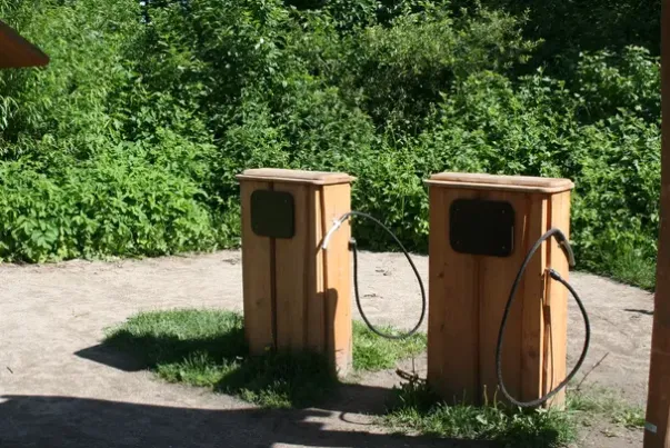 Core robinia bensinpumpe