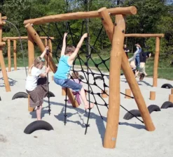 Core robinia spidernett