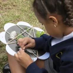 Core robinia spidernett