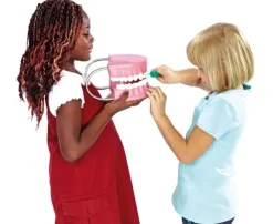 Demonstrasjonssett av tenner