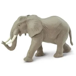 Eksotiske dyr elefant