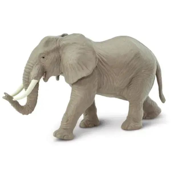 Eksotiske dyr elefant