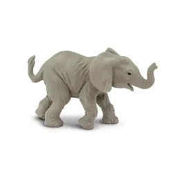 Eksotiske dyr elefant