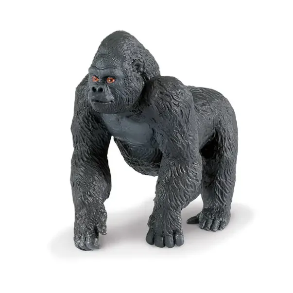 Eksotiske dyr gorilla