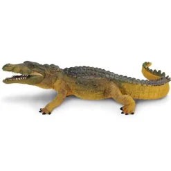 Eksotiske dyr krokodille