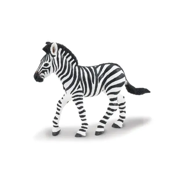 Eksotiske dyr zebra