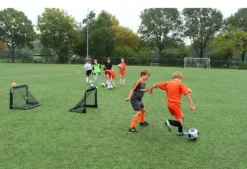 Exit Pico fotballmål sett