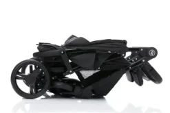 Filikid tvillingtrille