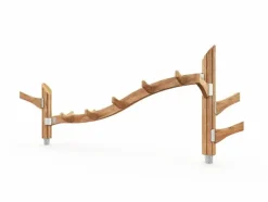 Flora trollstigen natur