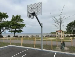Goliath basketballstativ