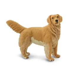 Hund golden retriver