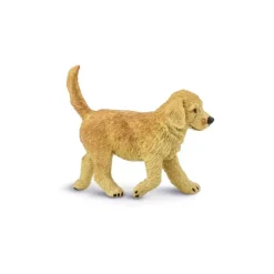 Hund golden retriver