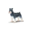 Hund schnauzer