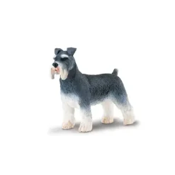 Hund schnauzer