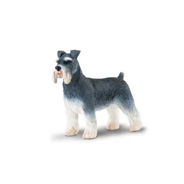 Hund schnauzer