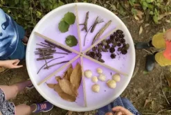 Inndeling til sensorisk utforskingsbord