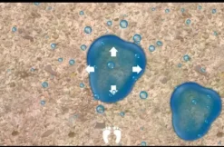 Interaktivt gulv bevegelsesmagi