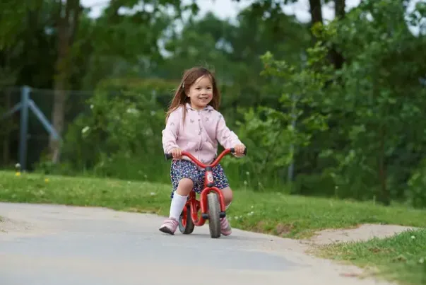 Mini Viking gåsykkel