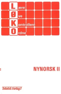 Nynorsk 2