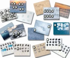 Pingviner kodesteiner aktivitetskort