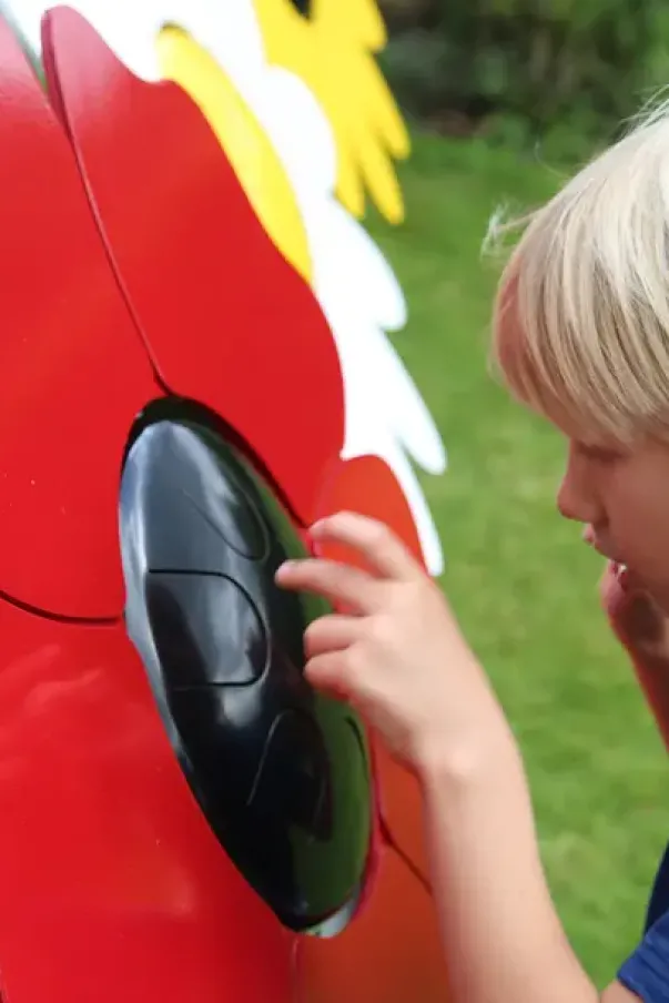 Poppy petal drum forankring i jord