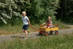 ROSE dravogn med 3 seter