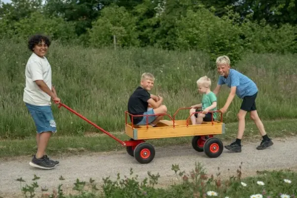 ROSE dravogn med 3 seter