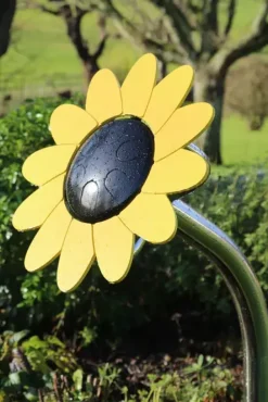 Sunflower petal drum forankring i jord