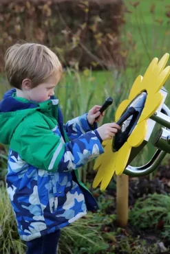 Sunflower petal drum forankring i jord