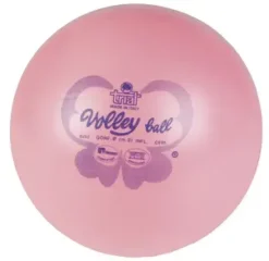 Trial Butterfly volleyball