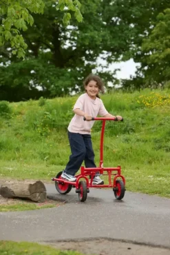 Viking Challenge Step Roller