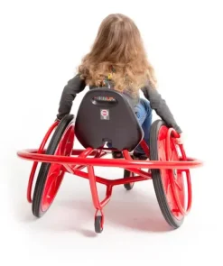 Viking Challenge WheelyRider