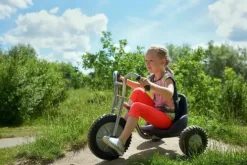 Viking Explorer Easy Rider